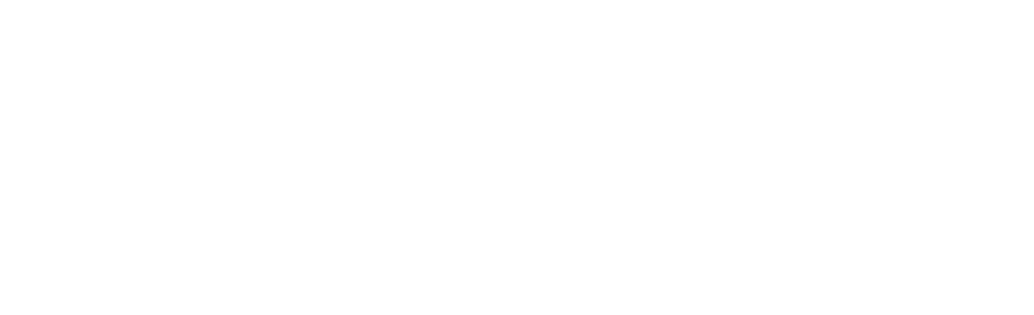 Logo NT